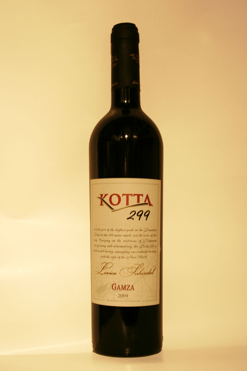 Kota 299 Gamza 2009